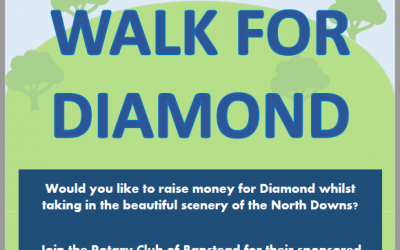 Ever thought about fundraising for Diamond but not sure where to start?